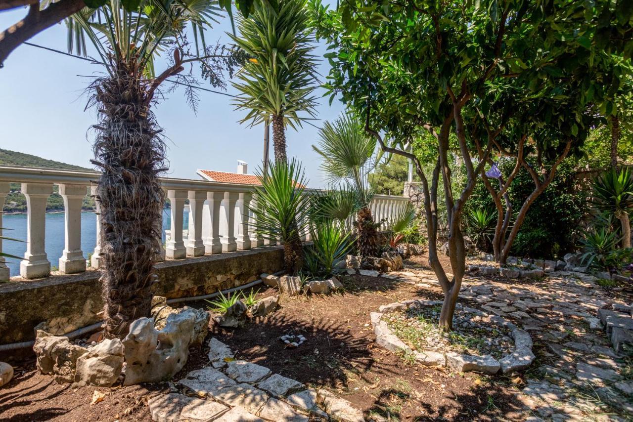 Sea Oasis Apartments - Milosevic Kotor Eksteriør billede